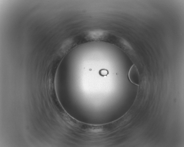 X0000082170651200701270001