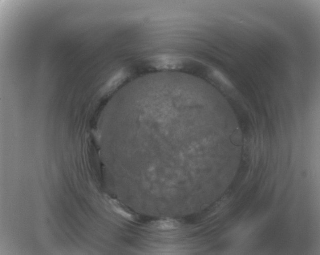 X0000082170652200701270001