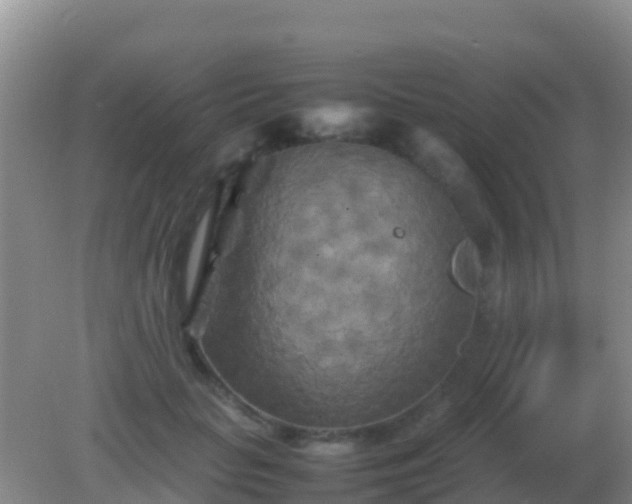 X0000082170653200701270001