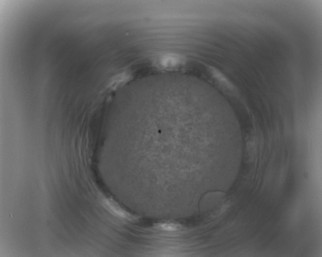 X0000082170654200701270001