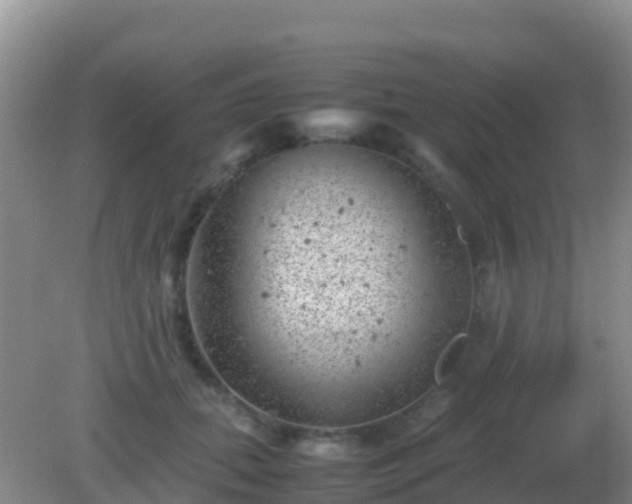 X0000082170655200701270001