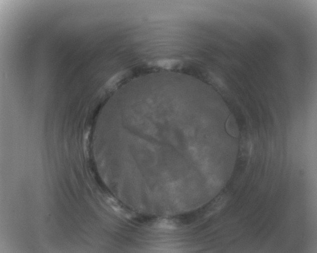 X0000082170656200701270001