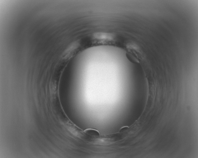 X0000082170657200701270001