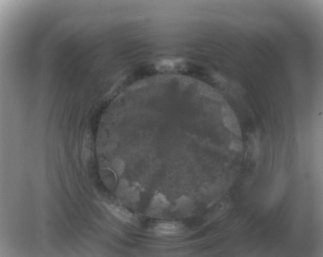 X0000082170659200701270001