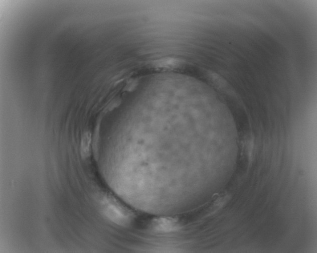 X0000082170660200701270001