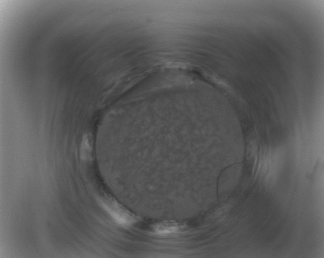 X0000082170661200701270001