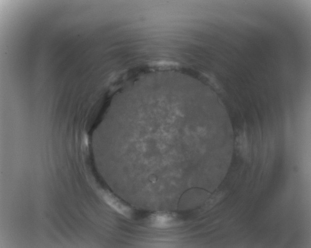 X0000082170662200701270001