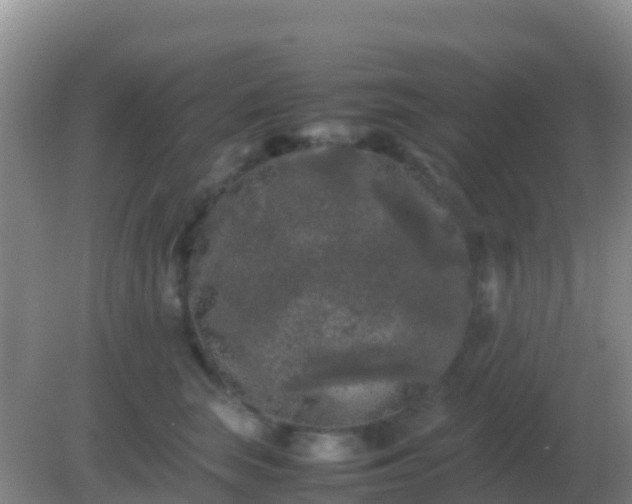 X0000082170663200701270001