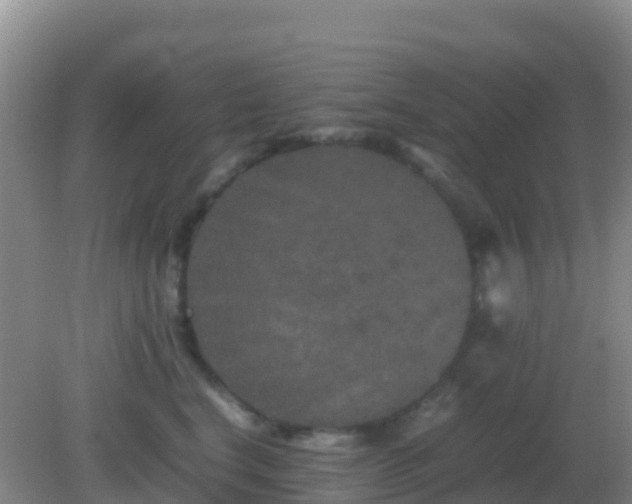 X0000082170664200701270001