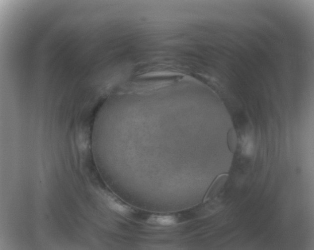 X0000082170665200701270001