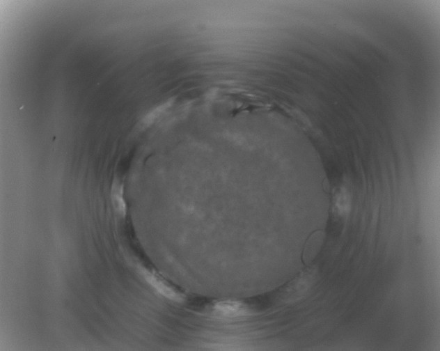 X0000082170666200701270001