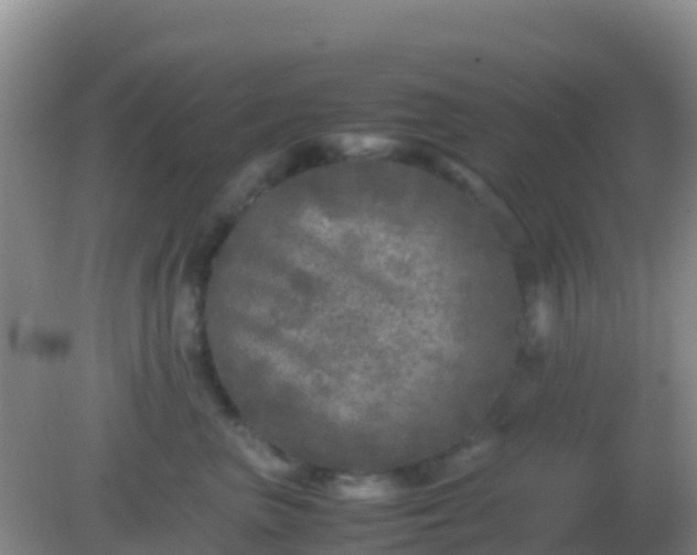 X0000082170667200701270001