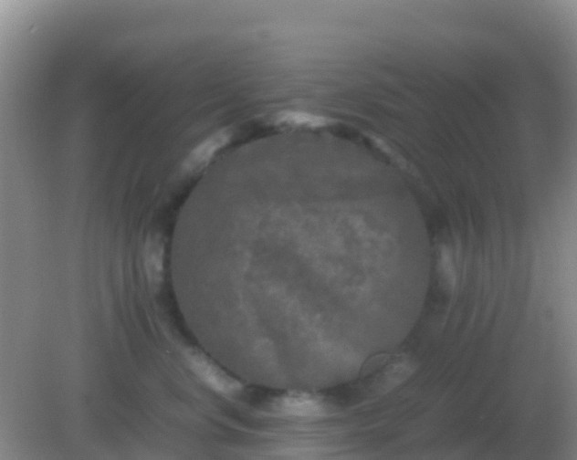 X0000082170668200701270001