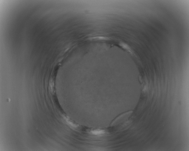 X0000082170669200701270001