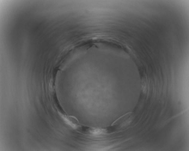 X0000082170670200701270001