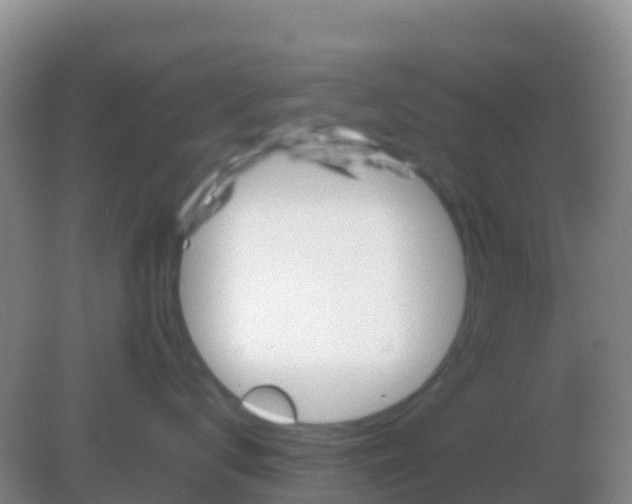 X0000082170672200701270001