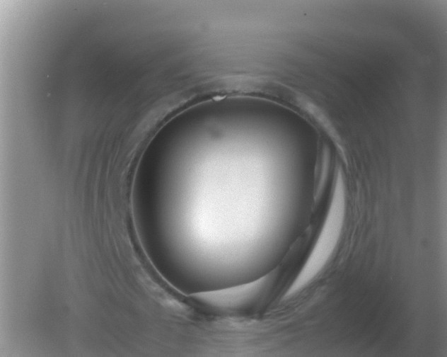 X0000082170673200701270001