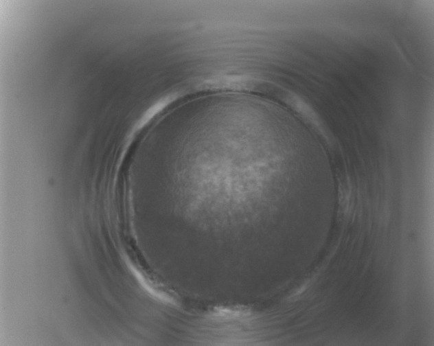 X0000082170674200701270001