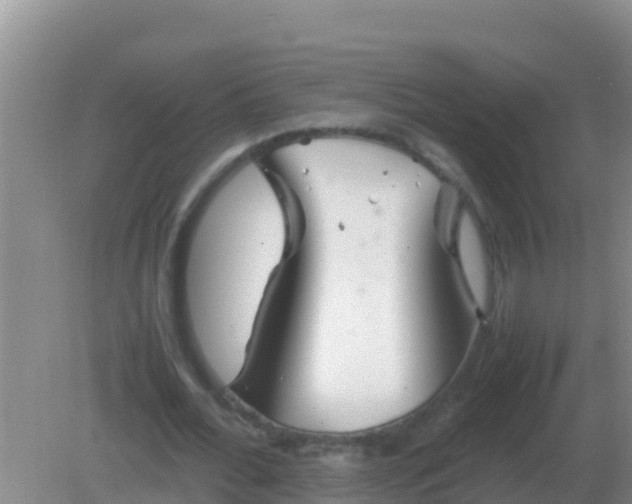 X0000082170676200701270001