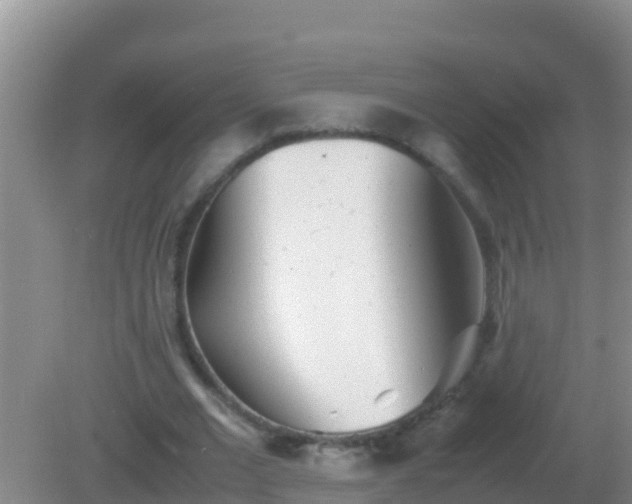 X0000082170677200701270001