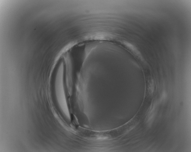 X0000082170678200701270001