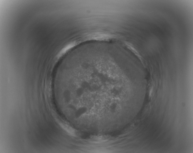 X0000082170679200701270001