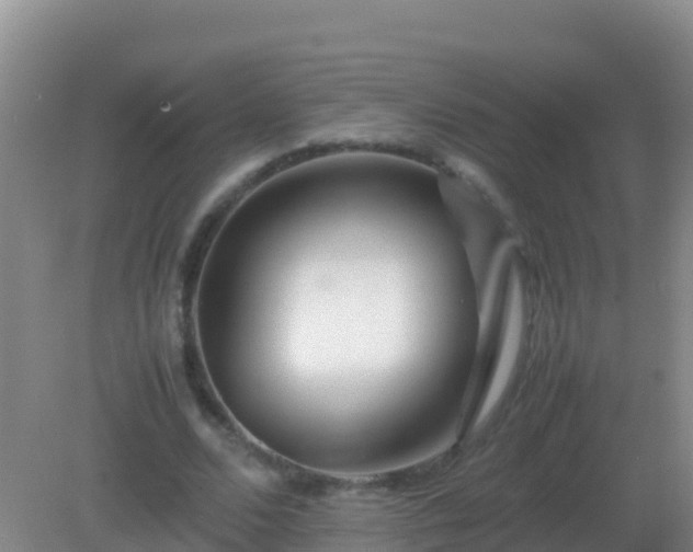 X0000082170680200701270000