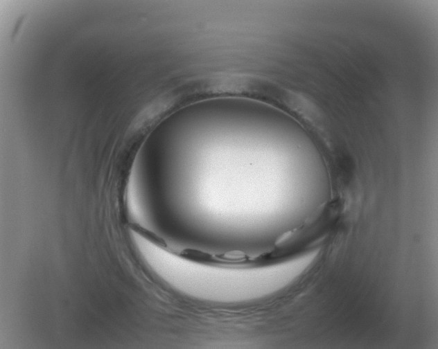 X0000082170681200701270000