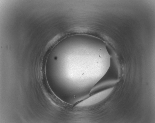 X0000082170682200701270000