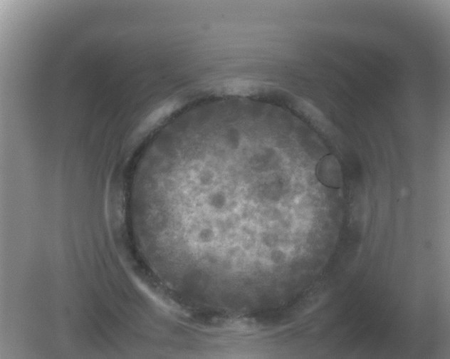 X0000082170683200701270000