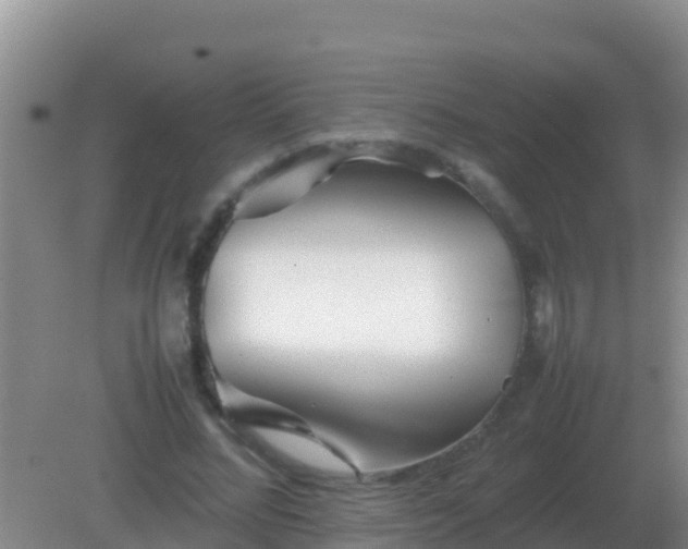 X0000082170684200701270000