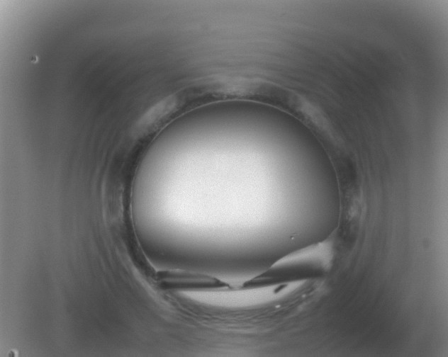 X0000082170685200701270000