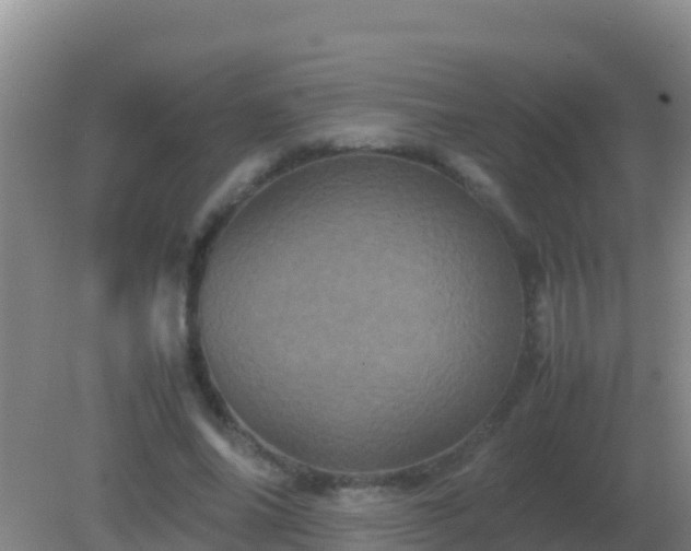 X0000082170686200701270000