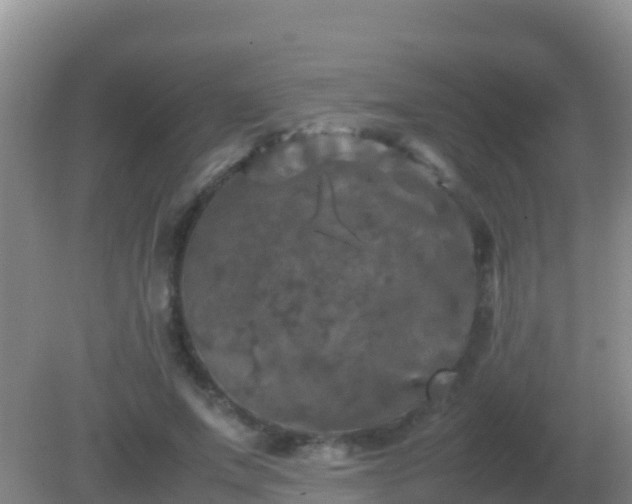 X0000082170687200701270000