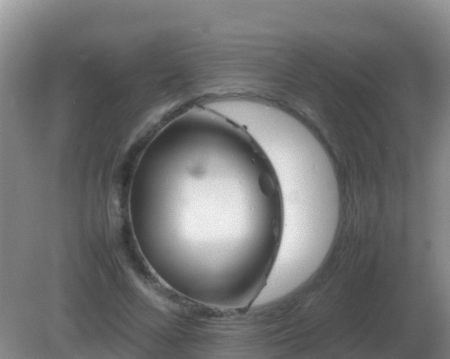 X0000082170688200701270000