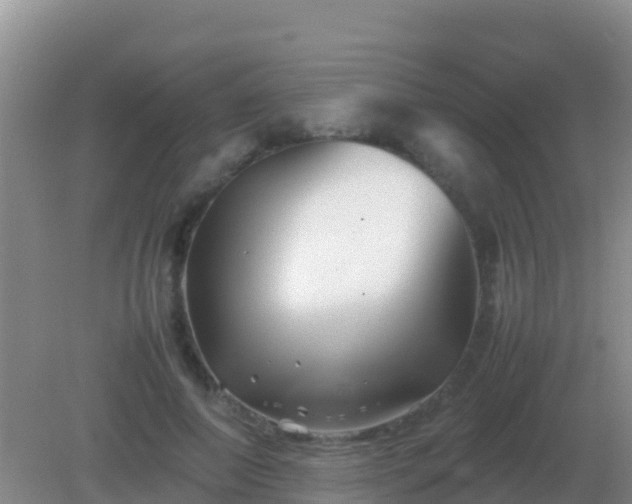 X0000082170690200701270000