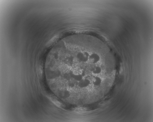 X0000082170691200701270000