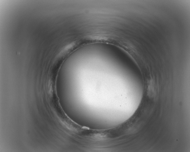 X0000082170692200701270000