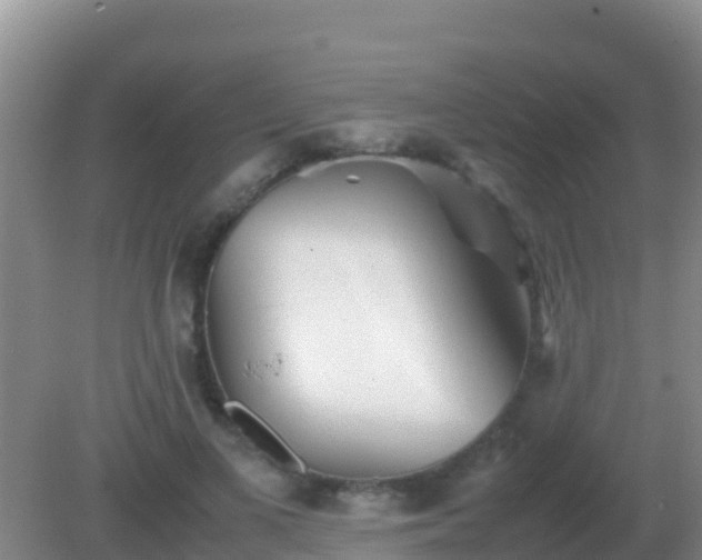 X0000082170693200701270000