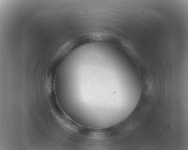 X0000082170694200701270000