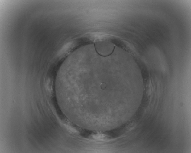 X0000082170695200701270000