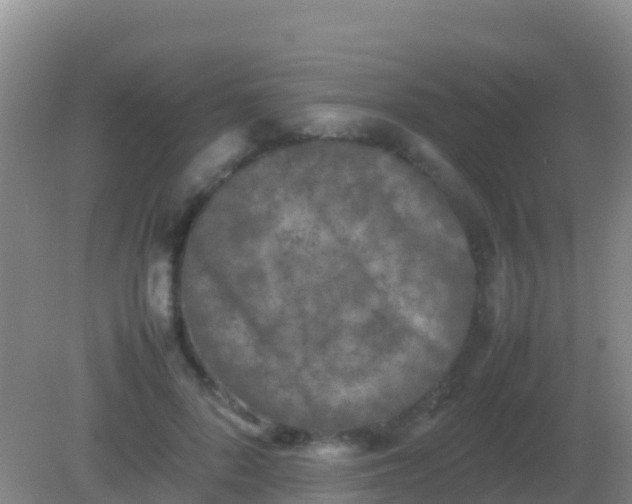 X0000082170696200701270000