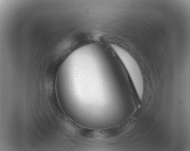 X0000082170697200701270000