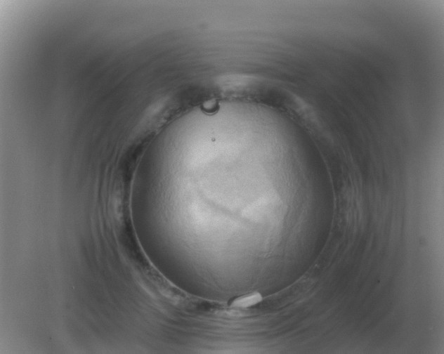 X0000082170698200701270000