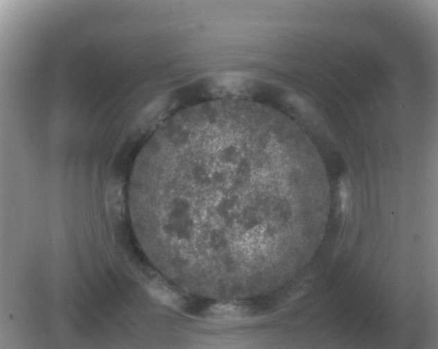 X0000082170699200701270000