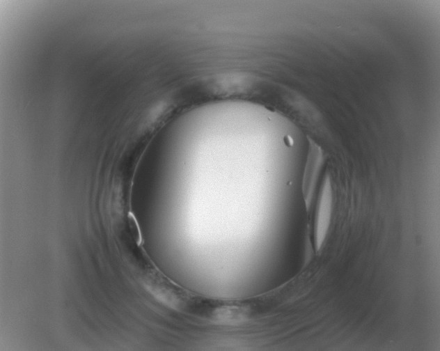 X0000082170700200701270000