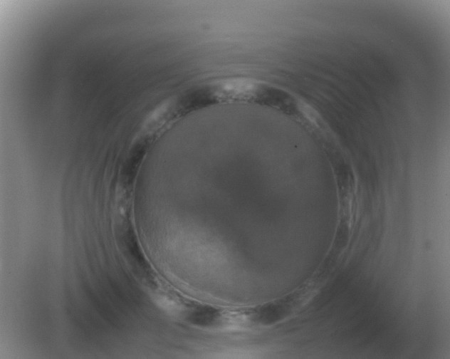 X0000082170701200701270000