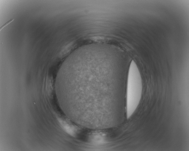 X0000082170702200701270000