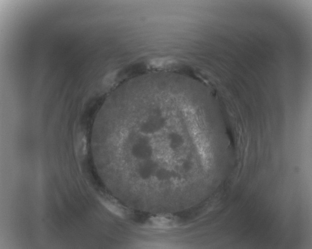 X0000082170703200701270000