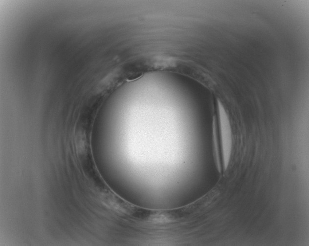 X0000082170704200701270000